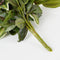 Mica Decorations Tradescantia - Kunst Hangplant - H54 cm met groen-wit patroon en bordeaux rode accenten - Groen