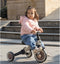 Qplay Stager - Driewieler 3-in-1 - Opvouwbaar - Bruin