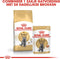 Royal Canin British Shorthair Adult - Kattenvoer - 4 kg