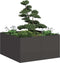 vidaXL - Plantenbak - 80x80x40 - cm - koudgewalst - staal - zwart