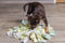 Beeztees Puppy Sniffy Snuffelmat - Snuffelmat - Mentale stimulatie - 22x22x4 cm