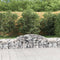 vidaXL - Schanskorven - 2 - st - gewelfd - 300x50x40/60 - cm - gegalvaniseerd - ijzer