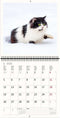2026 Kalender schrijven 30 x 30 katten - gratis 2025