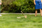 Outdoor Play Kubbspel - Speelgoed - Berkenhout - Geleverd met draagzak - Inclusief handleiding