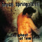 Bruce Springsteen - Ghost Of Tom Joad - LP - Rock