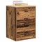 vidaXL - Garagekast - 60x51x85 - cm - massief - grenenhout - oud - hout