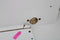 Atlantic Sienna-Alice-Clara - Kolomkast - 2 softclose deuren - Wit