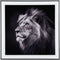 Present Time Lion Wanddecoratie - Fotokunst - 2x50x50cm - Zwart