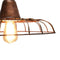 Pole to Pole - Pendent Light - Spider copper