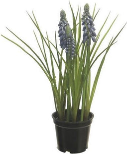 Muscari Blauwe Druif in pot 23 cm blauw kunstbloem Nova Nature