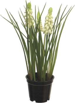 Muscari x3 with black pot cream 23 cm kunstbloem