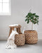 MUST Living Basket Carlos, set of 2,33xØ33 cm / 35xØ40 cm, abaca