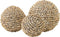 MUST Living Beach shell ball, set of 3,8xØ8 cm / 10xØ10 cm / 11xØ11 cm, cream shell