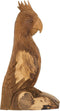 MUST Living Parrot Rio,45x15x25 cm