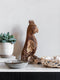 MUST Living Parrot Rio,45x15x25 cm