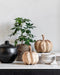 MUST Living Pumpkins, set of 2,19xØ16 cm / 20xØ19 cm