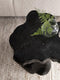 MUST Living Stool Mushroom Black,45xØ40 cm, black teakwood roots