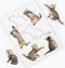 Mustard koelkast magneten - Magneetjes - Actie katten 12 stuks