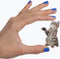 Mustard koelkast magneten - Magneetjes - Actie katten 12 stuks