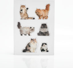 Mustard koelkast magneten - Magneetjes - Dikke katten 12 stuks