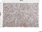 MUT - Shaggy vloerkleed - Lichtbeige/Wit - 140 x 200 cm - Leer