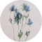 Muurcirkel lala Ø 20 cm / Forex