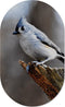 Muurovaal birdy blue S - 60 x 37 cm