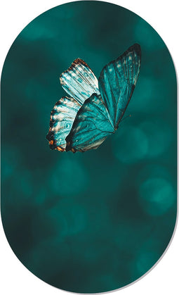 Muurovaal butterfly S - 60 x 37 cm