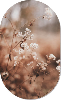 Muurovaal cosyflower M - 90 x 55 cm
