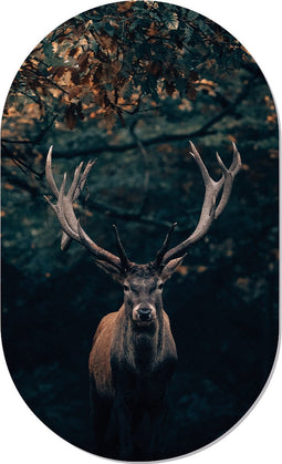 Muurovaal dark deer XS - 40 x 25 cm