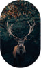 Muurovaal dark deer XS - 40 x 25 cm