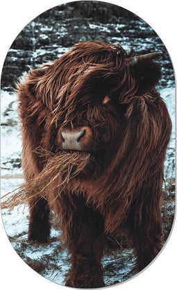 Muurovaal highlander S - 60 x 37 cm