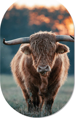Muurovaal highlander sun M - 90 x 55 cm