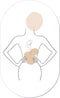 Muurovaal line art body M - 90 x 55 cm