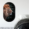 Muurovaal lion head M - 90 x 55 cm