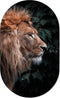 Muurovaal lion head S - 60 x 37 cm