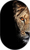 Muurovaal lioness M - 90 x 55 cm