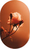 Muurovaal morning rose M - 90 x 55 cm