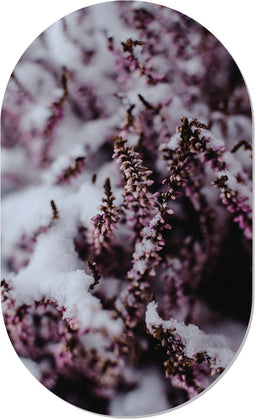 Muurovaal winterflower S - 60 x 37 cm