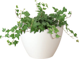 Muurpot Algarve D30Cm Wit