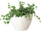 Muurpot Algarve D30Cm Wit