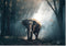 Muurrechthoek olifant 42 x 60 cm