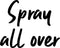 Bruno Banani Woman Bodysplash 250 ml - Bodymist