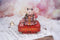 Muziekdoosje DIY 3D Houten Puzzel Circus Troupe Tone-Cheer, TQ047, 14x14x16cm