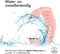 iMoshion Bandje Geschikt voor Apple Watch Bandje Series 1 / 2 / 3 / 4 / 5 / 6 / 7 / 8 / 9 / SE / Ultra (2) - 42 / 44 / 45 / 49 mm - iMoshion Siliconen band - Roze