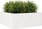 vidaXL - Plantenbak - 110x110x46 - cm - massief - grenenhout - wit
