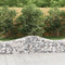 vidaXL - Schanskorven - 10 - st - gewelfd - 200x50x40/60 - cm - gegalvaniseerd - ijzer