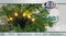 Anna's Collection Led Verlichting Met Trafo - Kerstverlichting - 1800 cm 451 g Warm Wit 180 led