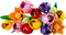 LEGO Botanicals - Boeket - 5 soorten tulpen - (11501)