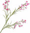 Silk-ka Zijden Kunstbloemen Datura Trompetbloem Donker Roze 149327 - 117 cm